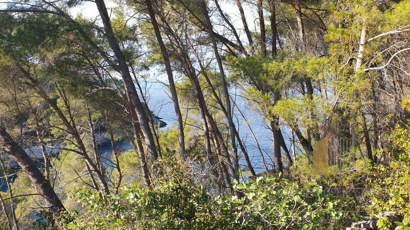 Izjemno zemljišče 1. vrsta ob morju z neskončnim potencialom – Vela Luka, Korčula!