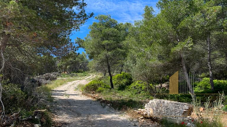 Perfect Investment: T2 building land in Sutivan, 100 m from the beach!