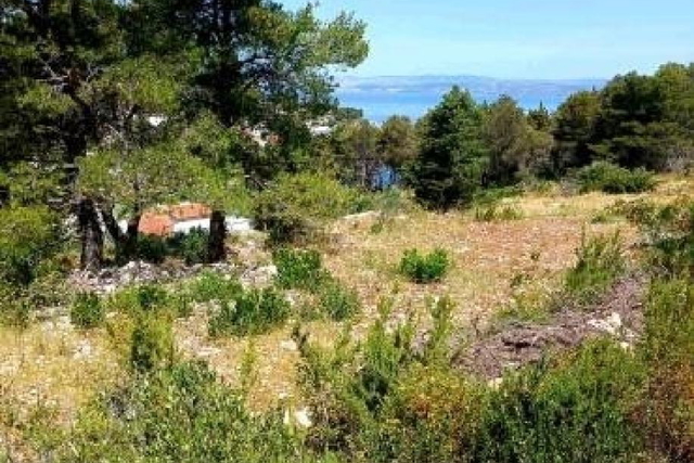 Baugrundstück 80 m vom Meer entfernt auf der Insel Šolta!
