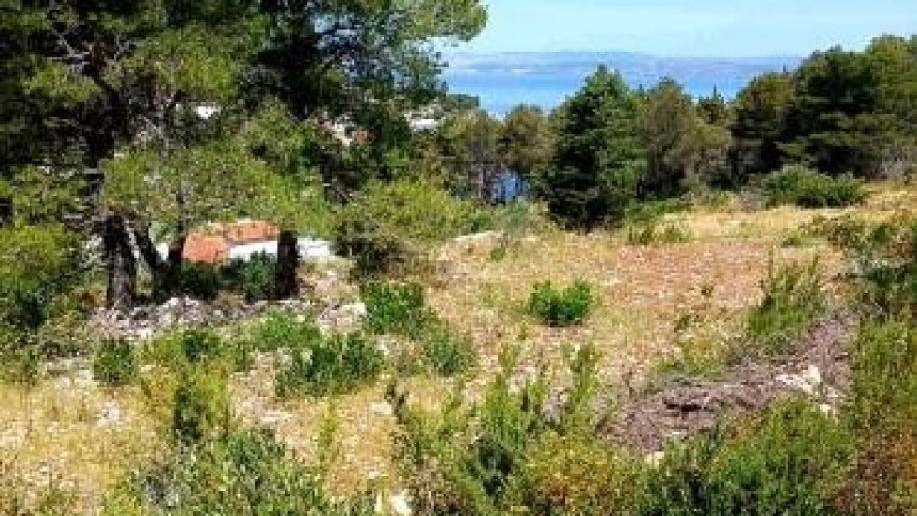 &Ucy;&chcy;&acy;&scy;&tcy;&ocy;&kcy; &pcy;&ocy;&dcy; &zcy;&acy;&scy;&tcy;&rcy;&ocy;&jcy;&kcy;&ucy; &vcy; 80 &mcy; &ocy;&tcy; &mcy;&ocy;&rcy;&yacy; &ncy;&acy; &ocy;&scy;&tcy;&rcy;&ocy;&vcy;&iecy; &SHcy;&ocy;&lcy;&tcy;&acy;&excl;