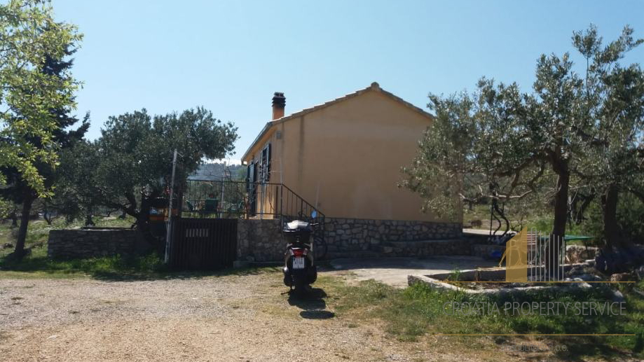 Large agricultural land with an olive grove and a house on the island of Brač!