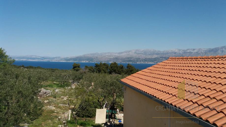Large agricultural land with an olive grove and a house on the island of Brač!