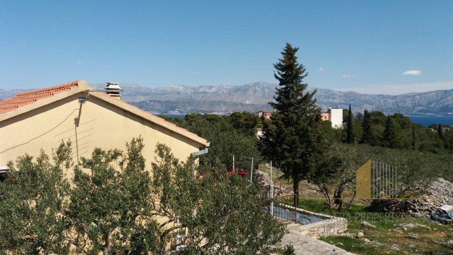 Large agricultural land with an olive grove and a house on the island of Brač!