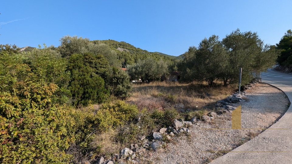 Baugrundstück 60 m zum Meer auf der Insel Korčula!