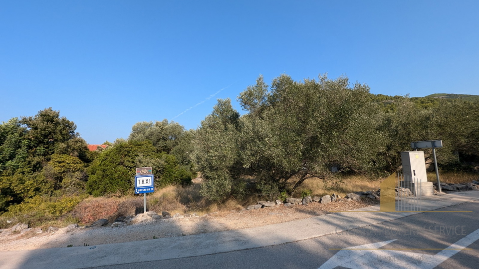 Baugrundstück 60 m zum Meer auf der Insel Korčula!