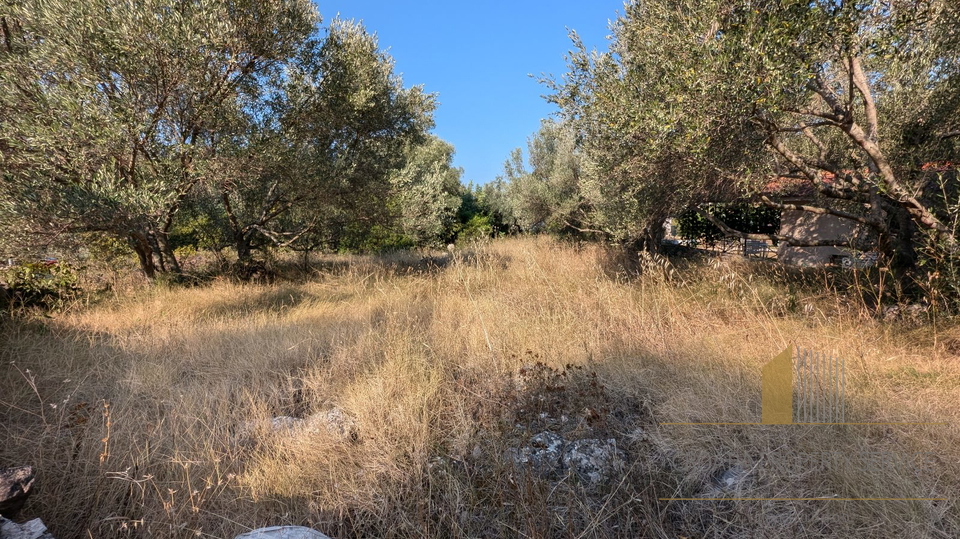 Baugrundstück 60 m zum Meer auf der Insel Korčula!