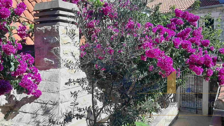 Villa in pietra con appartamenti e ristorante a 15 m dal mare - Supetar, Brač!