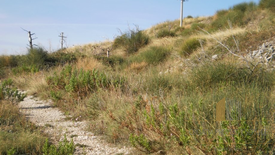 Land, 6000 m2, For Sale, Trogir