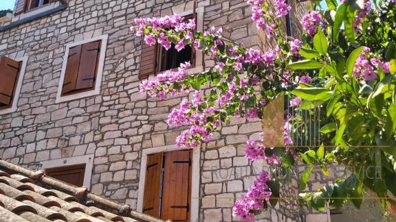 Villa in pietra con appartamenti e ristorante a 15 m dal mare - Supetar, Brač!