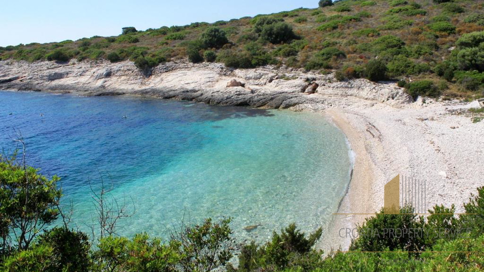 Apartmanska hi&scaron;a prvi vrsti ob pla&zcaron;i - Savar Dugi otok&excl;