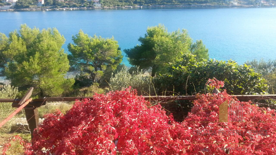 ATRAKTIVNO ZEMLJIŠTE SA KUĆOM PRVI RED DO MORA, ŠOLTA