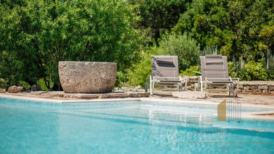 Occasione rara: ampio terreno di 30.000 m² in una posizione prestigiosa sull'isola di Hvar!