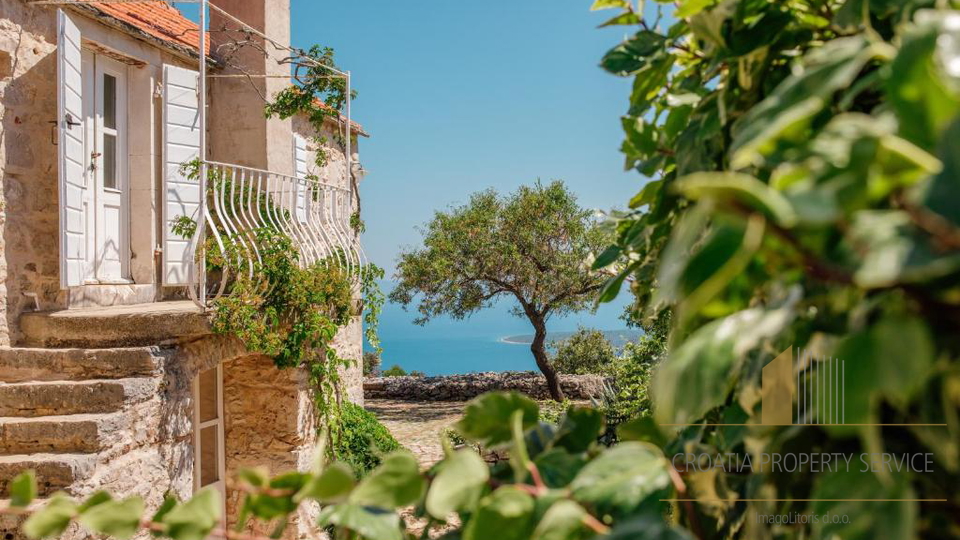 Occasione rara: ampio terreno di 30.000 m² in una posizione prestigiosa sull'isola di Hvar!