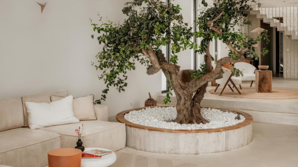 Wundersch&ouml;ne luxuri&ouml;se Villa mit Meerblick auf der Insel &Scaron;olta&excl;