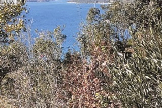 Terreno edificabile vicino a Ston!