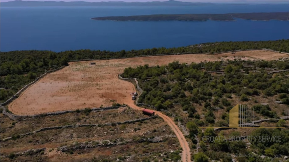 AGRICULTURAL LAND WITH OLIVE TREES