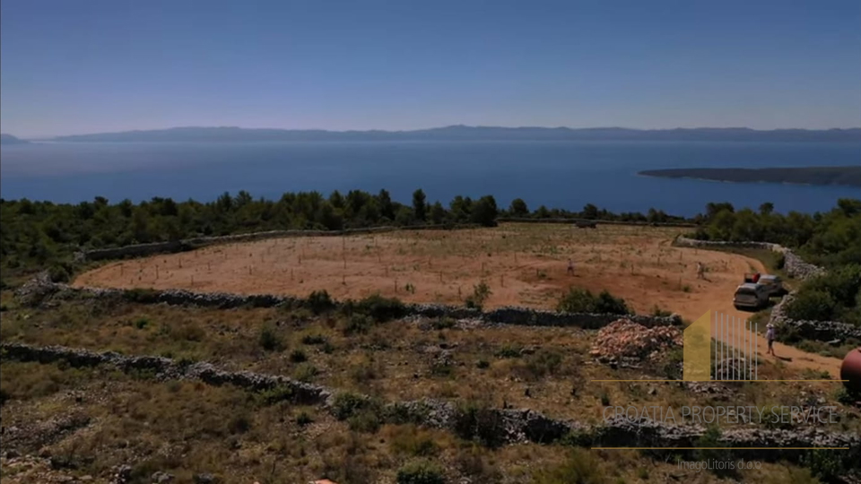 AGRICULTURAL LAND WITH OLIVE TREES