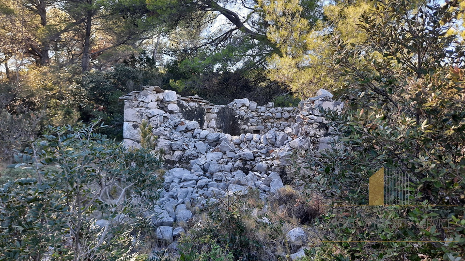 Zemljišče, 11950 m2, Prodaja, Stari Grad