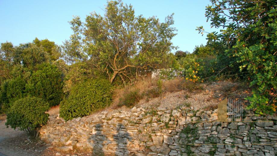 Island Šolta - first row to the sea