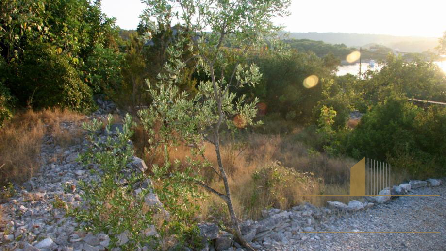 Island Šolta - first row to the sea