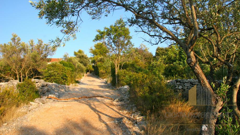 Island Šolta - first row to the sea