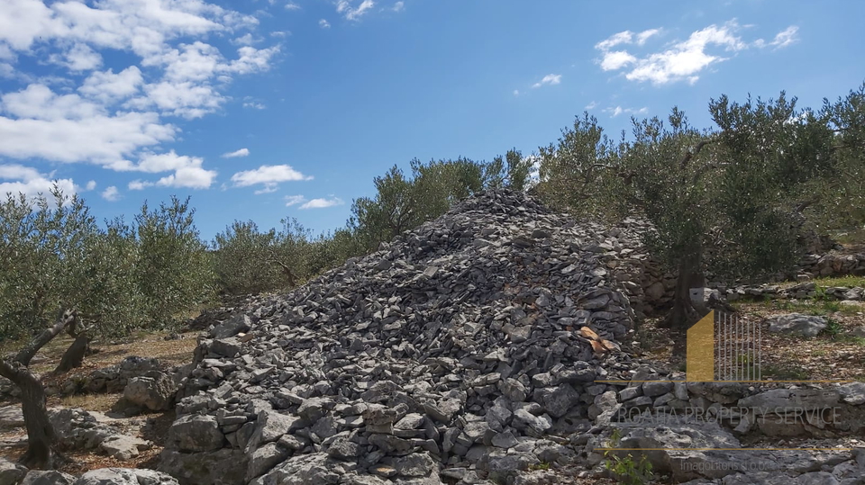 LANDWIRTSCHAFTLICHES GRUNDSTÜCK MIT OLIVENHAIN UND KLEINEM STEINHAUS