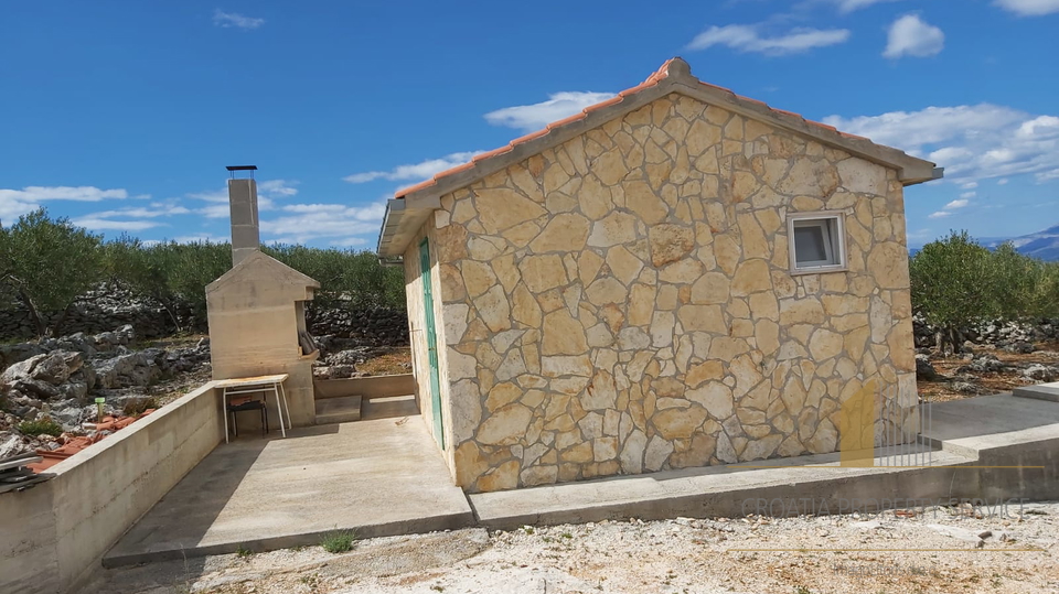 LANDWIRTSCHAFTLICHES GRUNDSTÜCK MIT OLIVENHAIN UND KLEINEM STEINHAUS