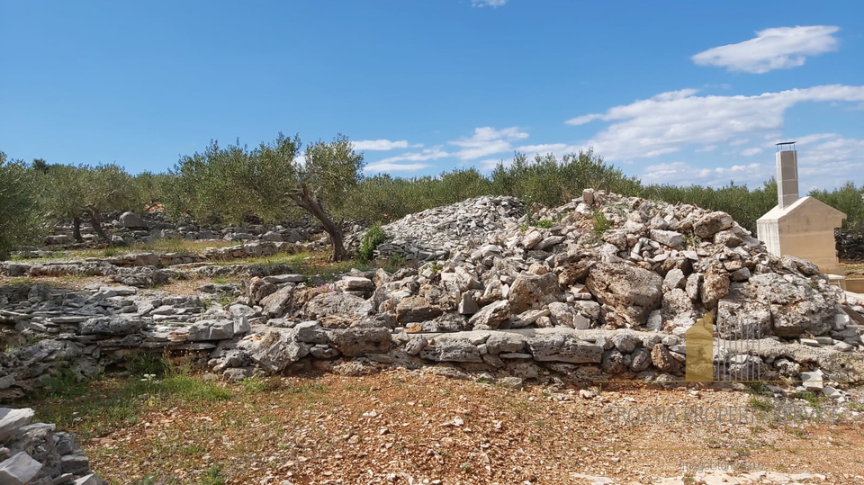 LANDWIRTSCHAFTLICHES GRUNDSTÜCK MIT OLIVENHAIN UND KLEINEM STEINHAUS