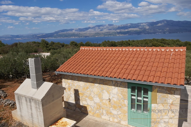 TERRENO AGRICOLO CON ULIVETO E PICCOLA CASA IN PIETRA