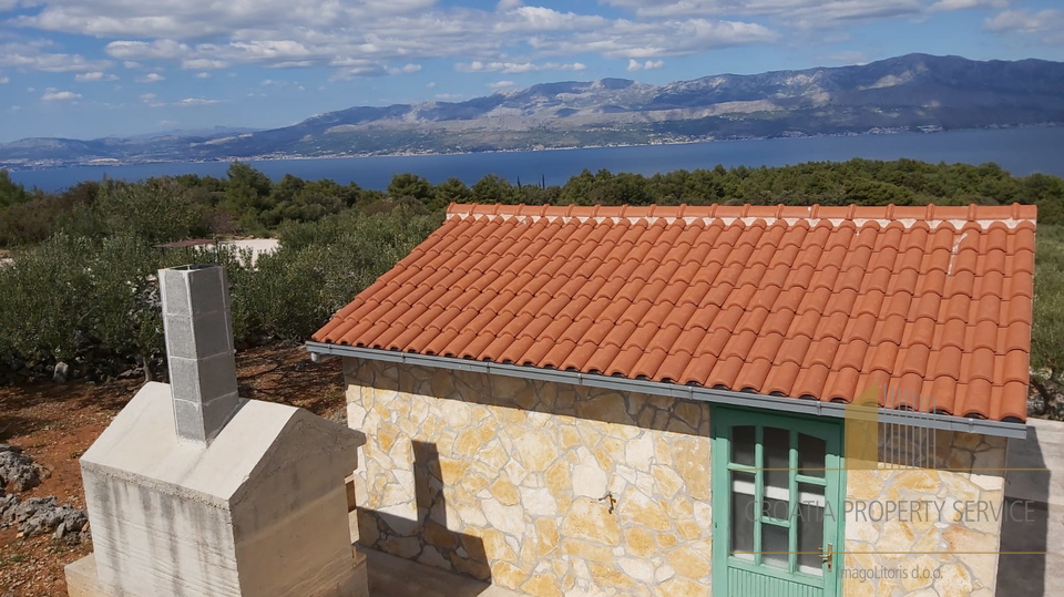 LANDWIRTSCHAFTLICHES GRUNDSTÜCK MIT OLIVENHAIN UND KLEINEM STEINHAUS