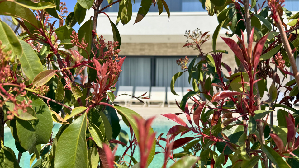 Moderna luksuzna vila v prvem vrsti ob morju &ndash; Rogoznica&excl;