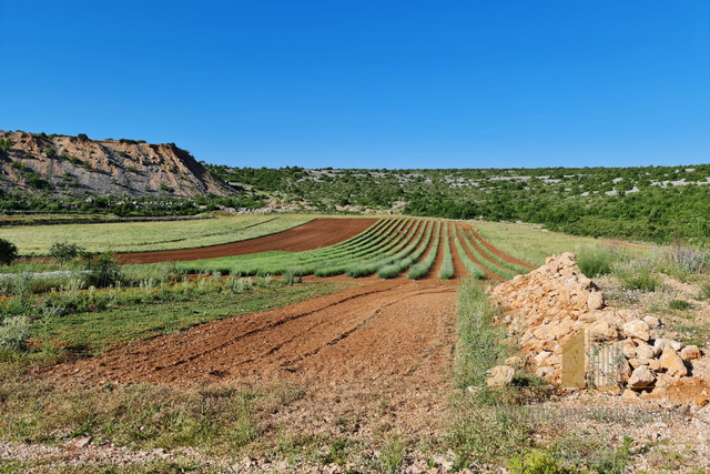 Terreno, 32000 m2, Vendita, Zadar-okolica