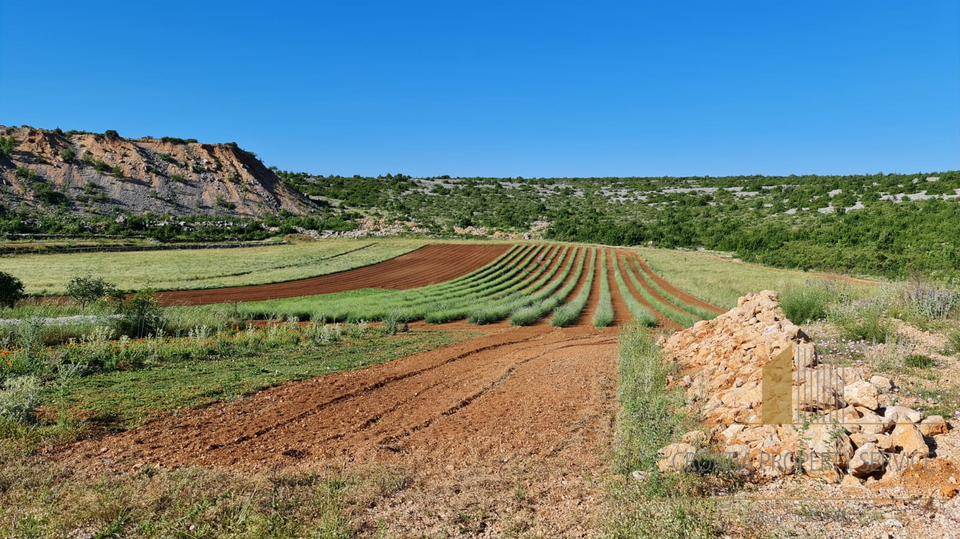 Land, 32000 m2, For Sale, Zadar-okolica