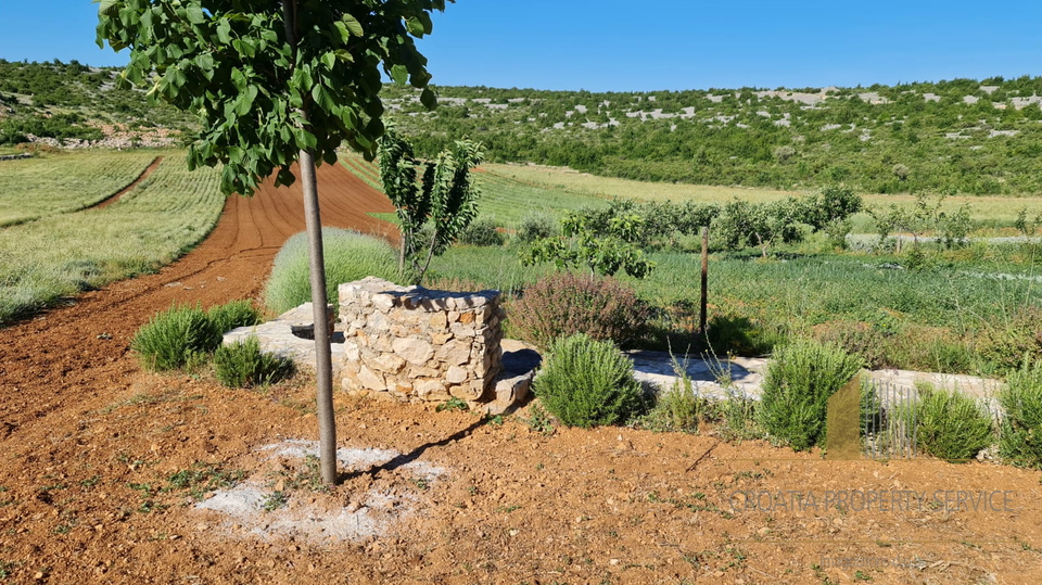 Land, 32000 m2, For Sale, Zadar-okolica