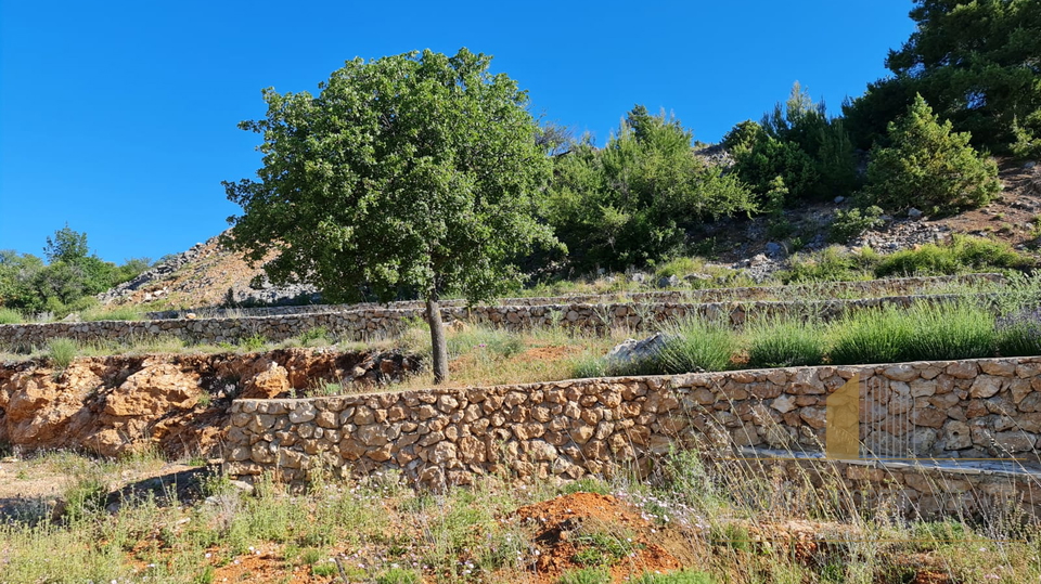 Land, 32000 m2, For Sale, Zadar-okolica