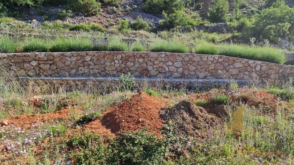 Land, 32000 m2, For Sale, Zadar-okolica