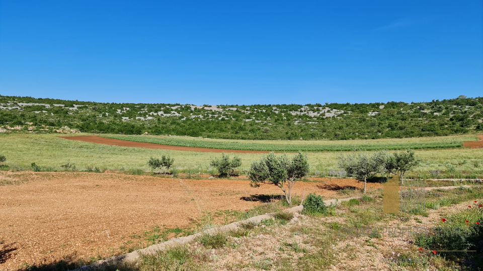 Land, 32000 m2, For Sale, Zadar-okolica