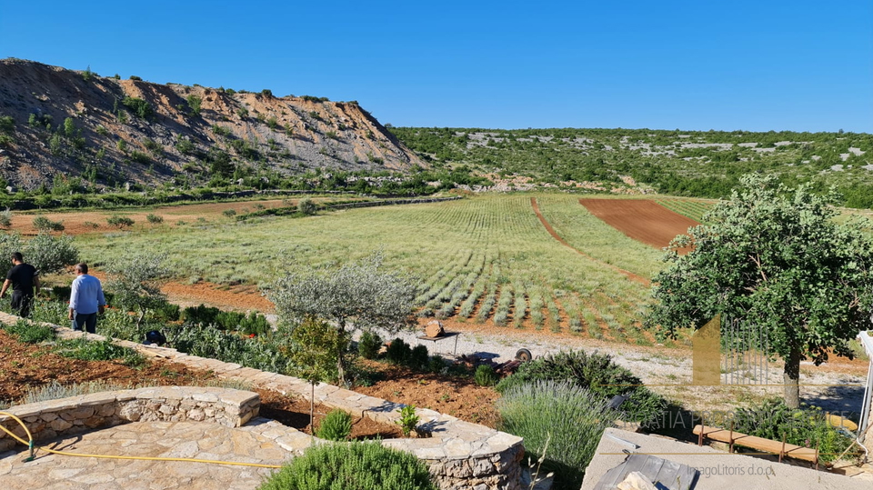Land, 32000 m2, For Sale, Zadar-okolica
