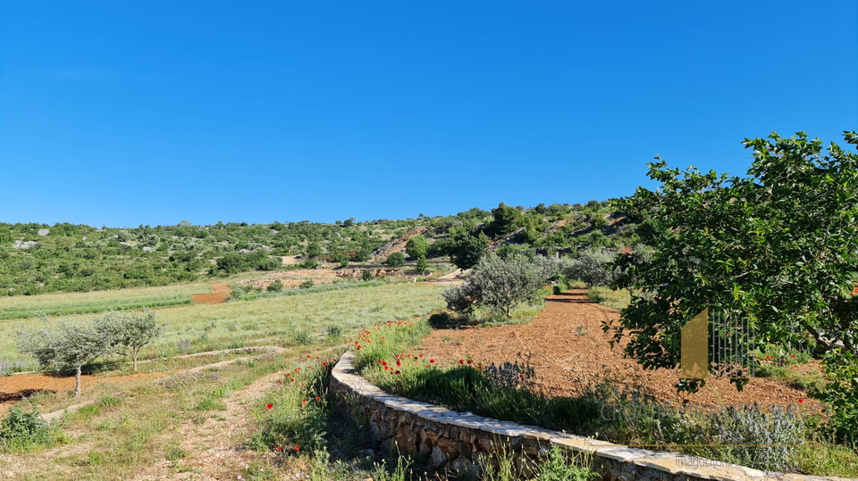 Land, 32000 m2, For Sale, Zadar-okolica