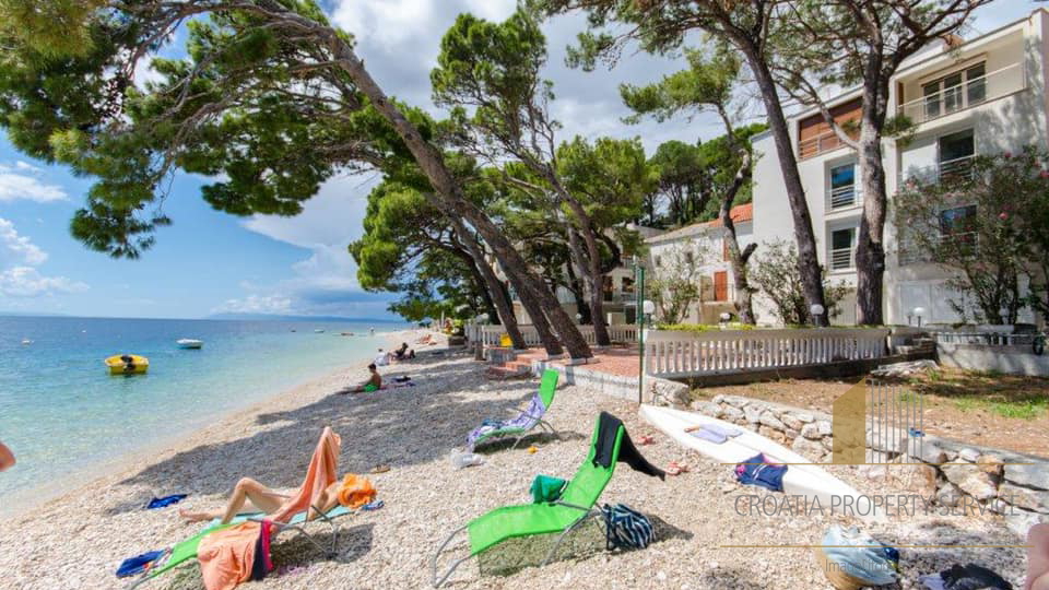Hotel na čudoviti peščeni plaži - fantastična lokacija