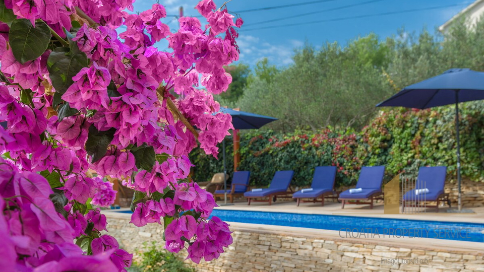 Appartamento di lusso con piscina privata in una splendida villa a 70 m dal mare – Milna, isola di Brač!