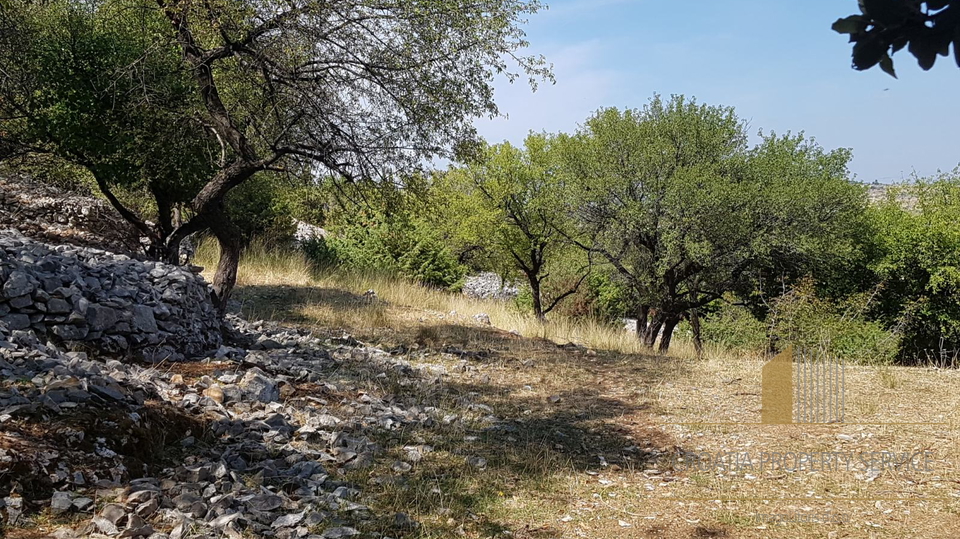 Excellent opportunity – Building land on the island of Brač, Nerežišća – 2,342 m2!