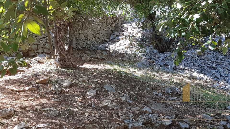 Excellent opportunity – Building land on the island of Brač, Nerežišća – 2,342 m2!