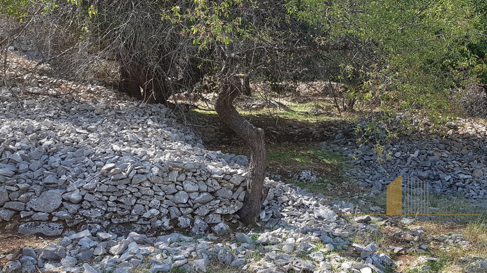 Excellent opportunity – Building land on the island of Brač, Nerežišća – 2,342 m2!