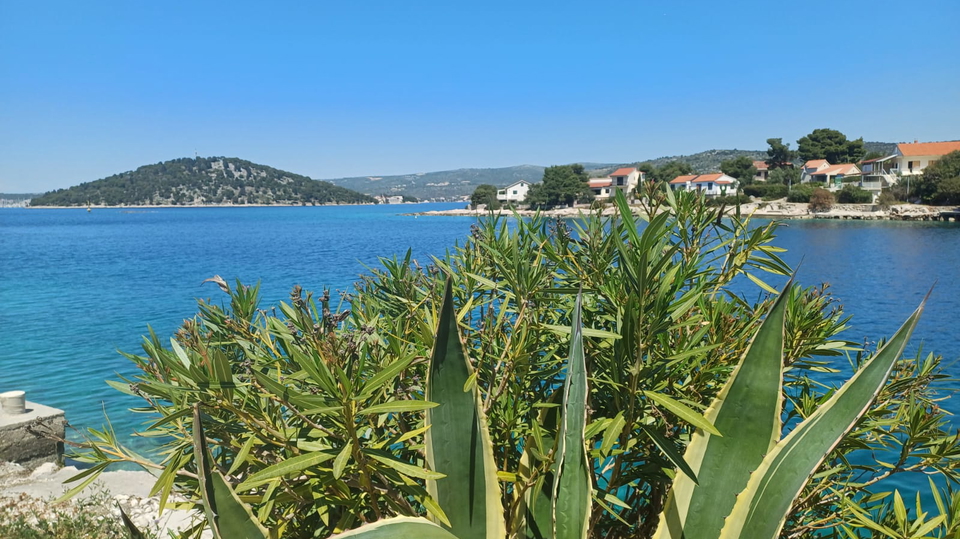 &Ecy;&kcy;&scy;&kcy;&lcy;&yucy;&zcy;&icy;&vcy;&ncy;&ycy;&jcy; &scy;&tcy;&rcy;&ocy;&icy;&tcy;&iecy;&lcy;&softcy;&ncy;&ycy;&jcy; &ucy;&chcy;&acy;&scy;&tcy;&ocy;&kcy; &vcy; 25 &mcy; &ocy;&tcy; &mcy;&ocy;&rcy;&yacy; &ndash; &Rcy;&acy;&njcy;&acy;&ncy;&softcy;&comma; &Rcy;&ocy;&gcy;&ocy;&zcy;&ncy;&icy;&tscy;&acy;&excl;