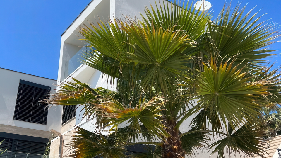 Villa a cascata di lusso con vista panoramica sul mare &ndash; Isola di &Ccaron;iovo&excl;