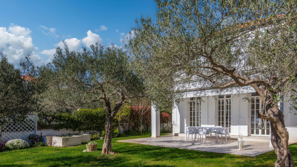 &Pcy;&rcy;&iecy;&kcy;&rcy;&acy;&scy;&ncy;&acy;&yacy; &rcy;&ocy;&scy;&kcy;&ocy;&shcy;&ncy;&acy;&yacy; &vcy;&icy;&lcy;&lcy;&acy; &pcy;&iecy;&rcy;&vcy;&acy;&yacy; &lcy;&icy;&ncy;&icy;&yacy; &ucy; &mcy;&ocy;&rcy;&yacy; - &Zcy;&acy;&dcy;&acy;&rcy;&excl;