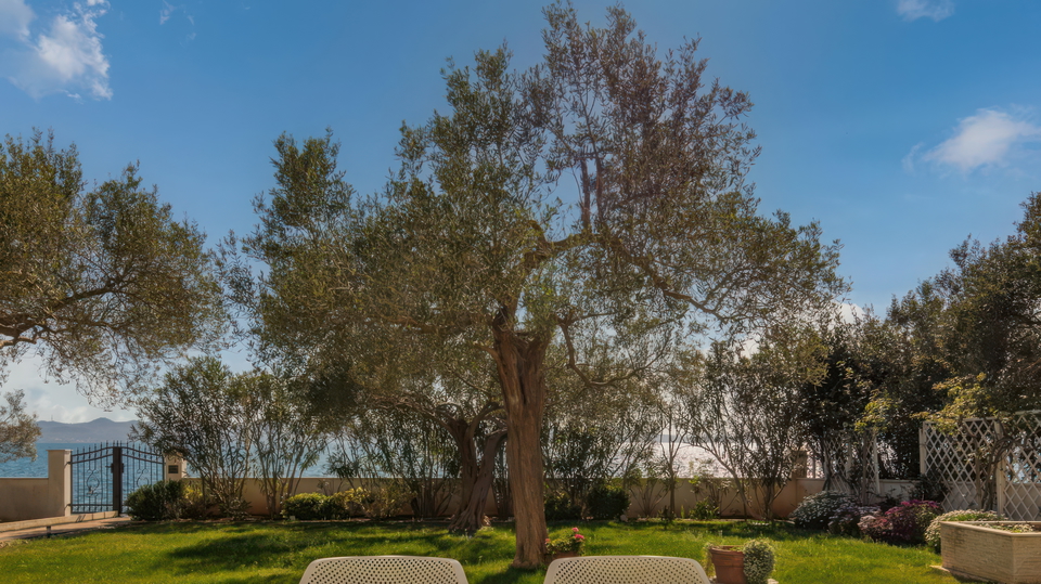 &Pcy;&rcy;&iecy;&kcy;&rcy;&acy;&scy;&ncy;&acy;&yacy; &rcy;&ocy;&scy;&kcy;&ocy;&shcy;&ncy;&acy;&yacy; &vcy;&icy;&lcy;&lcy;&acy; &pcy;&iecy;&rcy;&vcy;&acy;&yacy; &lcy;&icy;&ncy;&icy;&yacy; &ucy; &mcy;&ocy;&rcy;&yacy; - &Zcy;&acy;&dcy;&acy;&rcy;&excl;