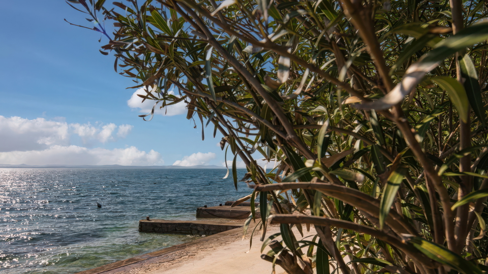 &Pcy;&rcy;&iecy;&kcy;&rcy;&acy;&scy;&ncy;&acy;&yacy; &rcy;&ocy;&scy;&kcy;&ocy;&shcy;&ncy;&acy;&yacy; &vcy;&icy;&lcy;&lcy;&acy; &pcy;&iecy;&rcy;&vcy;&acy;&yacy; &lcy;&icy;&ncy;&icy;&yacy; &ucy; &mcy;&ocy;&rcy;&yacy; - &Zcy;&acy;&dcy;&acy;&rcy;&excl;