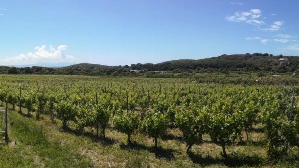 For sale&comma; exclusive estate with old house&comma; 49 ha &ndash; Pakleni Islands&excl;